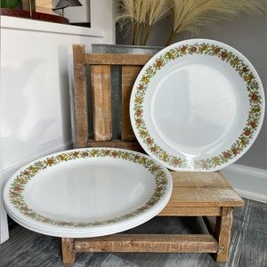 Corelle Spice of Life Dinner Plates